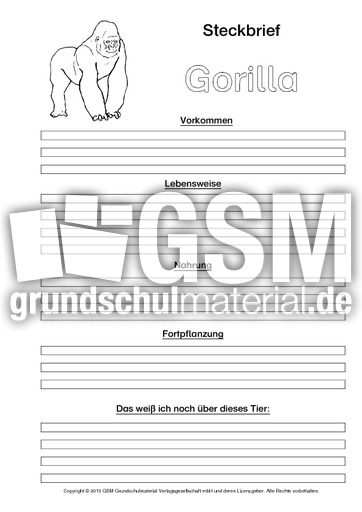 Gorilla-Steckbriefvorlage-sw-2.pdf